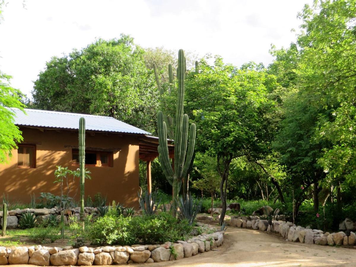 El Pedregal - Hotel En La Naturaleza Álamos Εξωτερικό φωτογραφία
