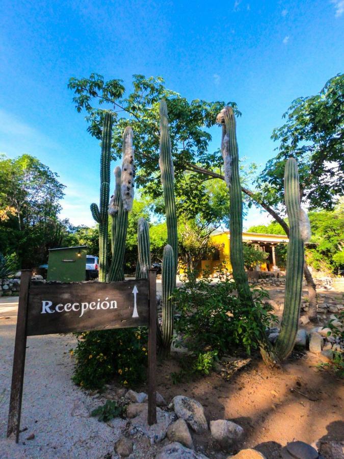 El Pedregal - Hotel En La Naturaleza Álamos Εξωτερικό φωτογραφία